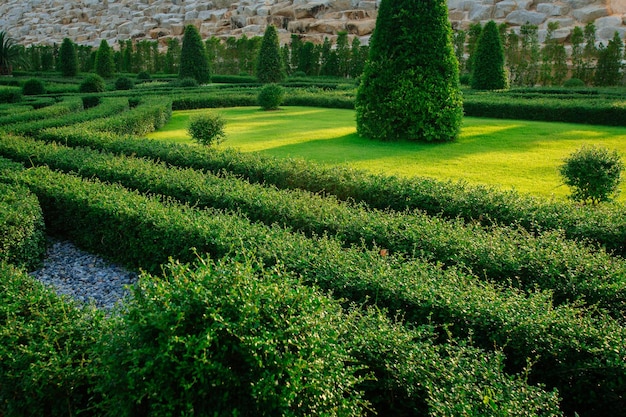 Foto progettazione del paesaggio