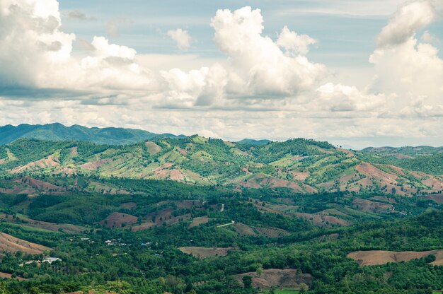 Landscape of destroy the forest on Mountains