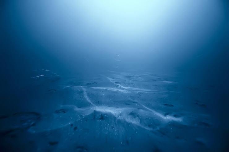 Photo landscape diving in cenote, underwater fog hydrogen sulfide, extreme adventure in mexico