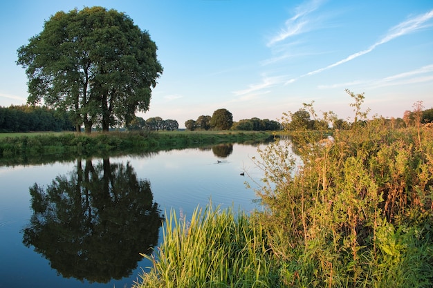 Пейзаж голландский природа вода деревья закат нидерланды