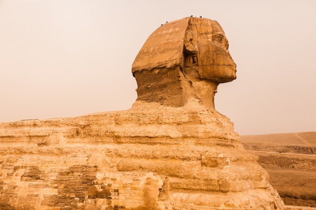 이집트의 풍경. 사막에서 피라미드. 아프리카. 세계의 불가사의