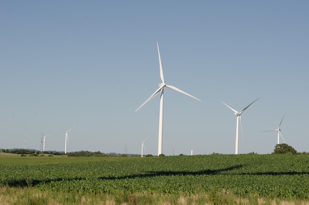 Landscape of energy efficient wind turbine at the countryside near Tarariras Colonia