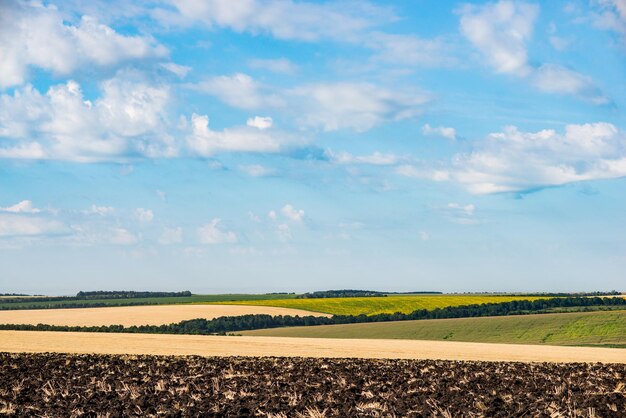 Photo landscape of fertile farm fields in summer black earth