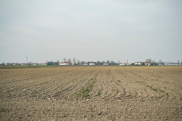 Landscape of Field ready for sowing the crop