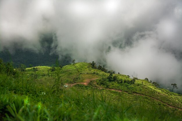 タイの霧と山の風景