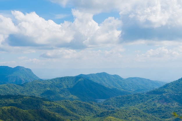 Photo landscape of forest and mountain.