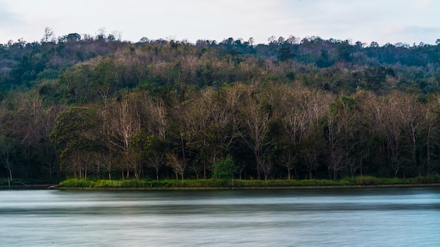 landscape of the forest in Thailand 