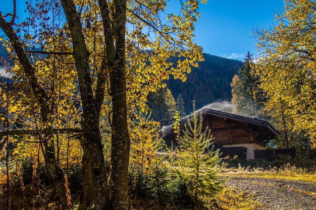 Landscape of the french alps in autumn