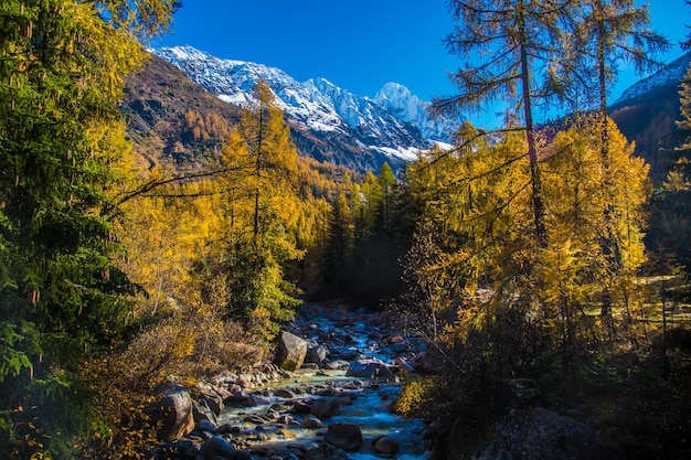 Landscape of the french alps in autumn