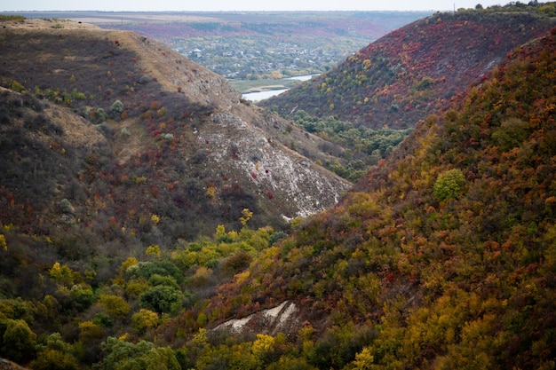 Пейзаж сверху с горами и осенними деревьями