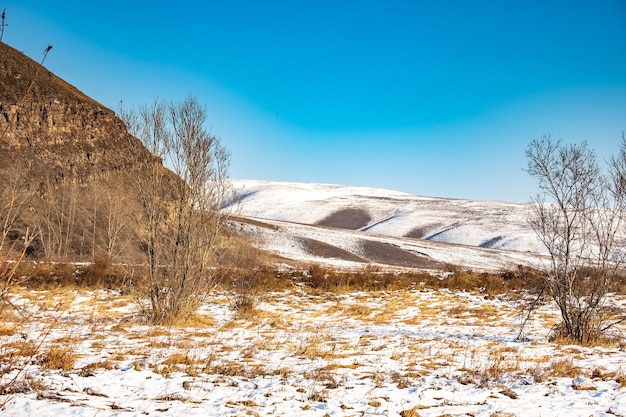 Фото Пейзаж, замерзший берег реки, деревья и трава в снегу