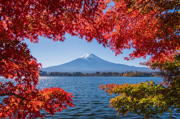 Paesaggio Della Montagna Di Fuji Con Le Belle Foglie Di Autunno Foto Premium