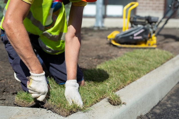 A landscape gardener is laying turf for a new lawn Rolled lawn