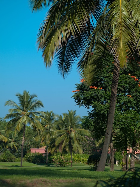 Foto paesaggio goa