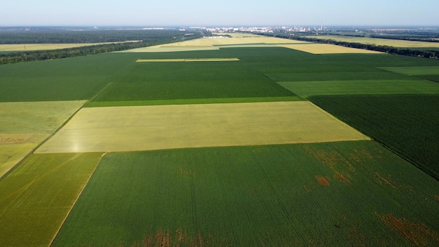 Photo landscape green agricultural fields sown with different agricultural crops