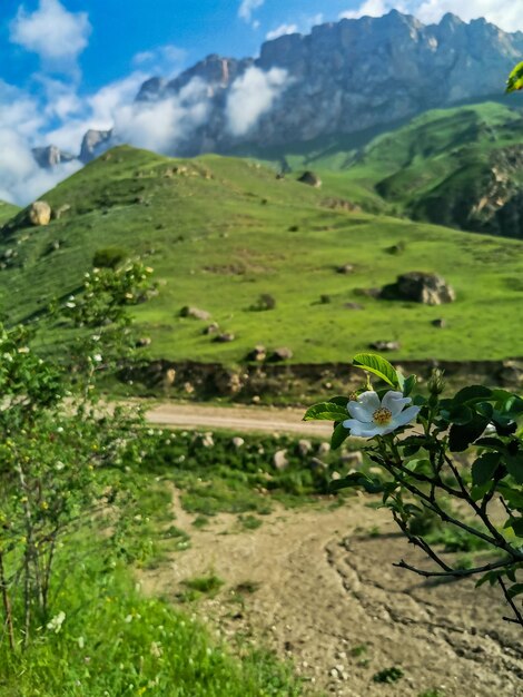 The landscape of the green Aktoprak pass in the Caucasus the road and the mountains under gray clouds Russia