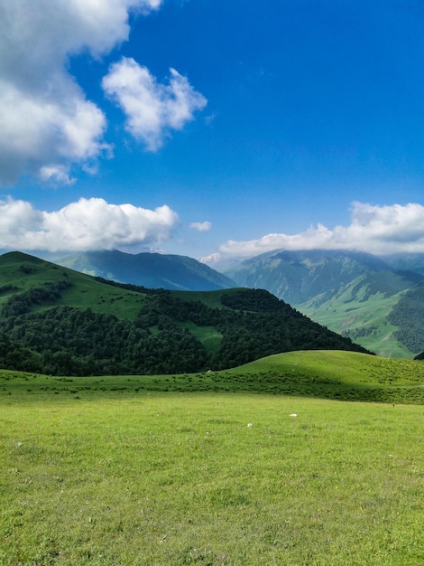 The landscape of the green Aktoprak pass in the Caucasus the road and mountains under gray clouds