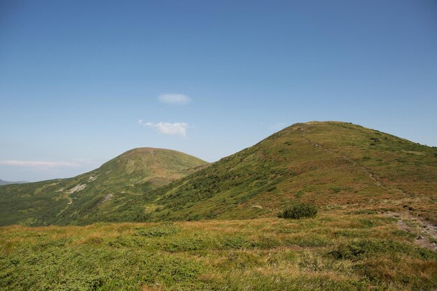 산 여름 여행에서 푸른 언덕의 풍경