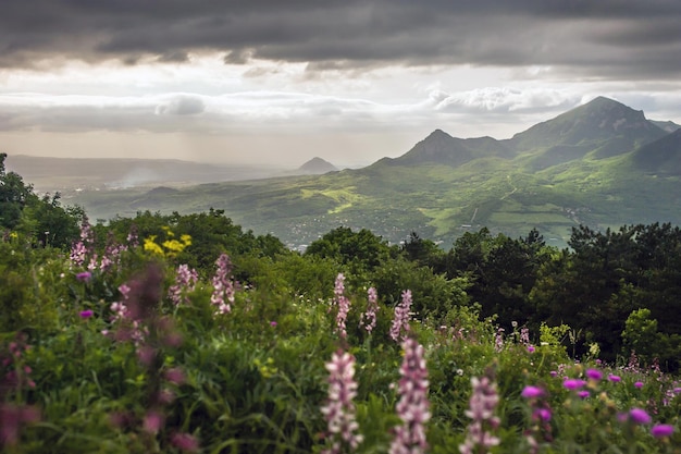 landscape of green mountains at sunset