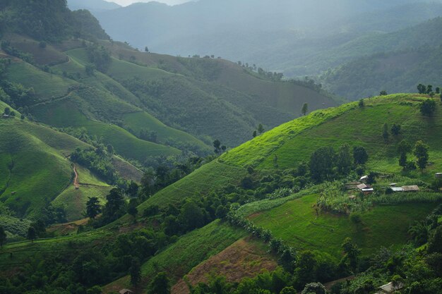 Landscape of green mountainsmountain scenery in asia