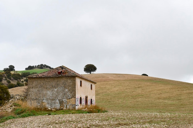 Landscape of the hehesa cerealistica of the Eastern Mountains of Granada - Spain 