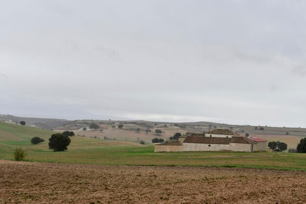 Landscape of the hehesa cerealistica of the Eastern Mountains of Granada - Spain 