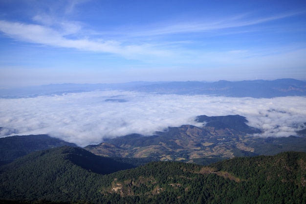 The landscape of high mountain fog covered forest.