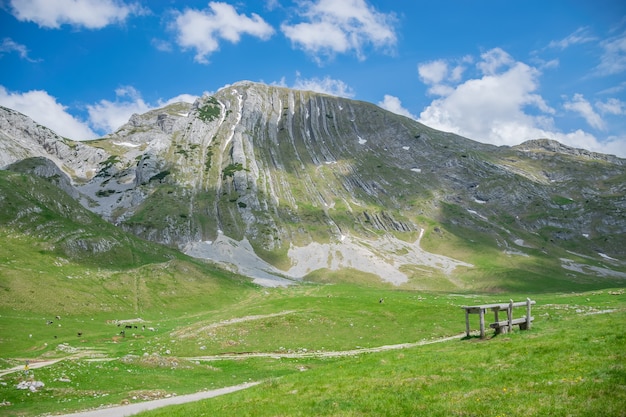 Landscape of high mountain and green field.