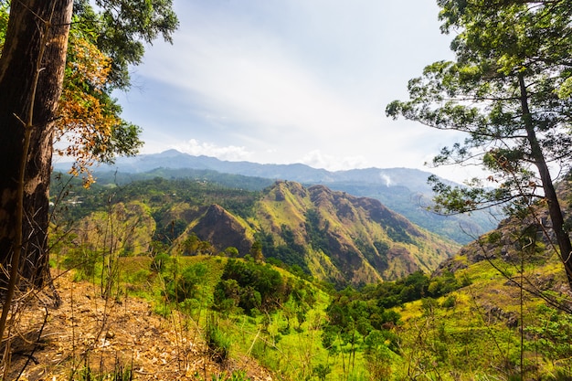 Landscape in the Hill Country of Sri Lanka