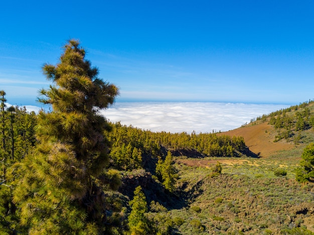 Landscape of hills covered in greenery above the clouds under the sunlight