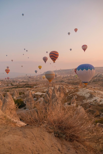 Photo landscape of hot air balloons