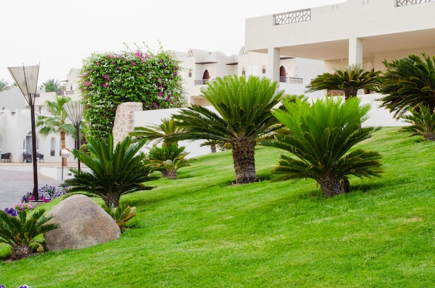 Landscape at hotel territori in Sharm El Sheikh, Egypt