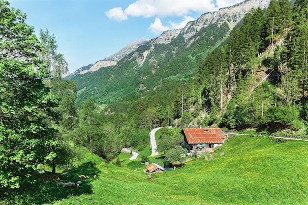 Пейзаж домов с красными крышами в швейцарских Альпах