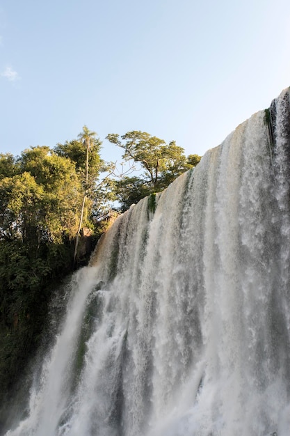 Landscape of the Iguazu Falls