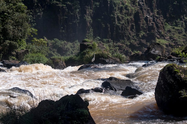 Landscape of the Iguazu Falls