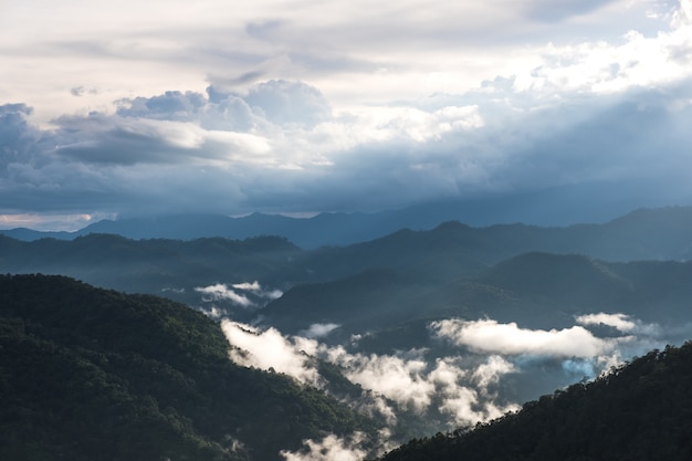 Landscape image of greenery rainforest hills in foggy day with cloudy sky