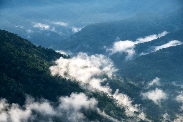 Landscape image of greenery rainforest hills in foggy day