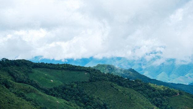 緑の熱帯雨林の山々と曇り空の丘の風景画像