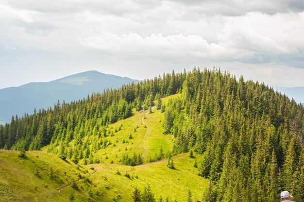 写真 山の風景、頂上への道、頂上の森、観光旅行、美しさ