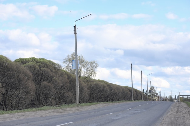 Landscape is summer. Green trees and grass in a countryside landscape. Nature summer day. Leaves on bushes.