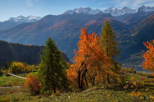 Landscape of Italian Alps in autumn