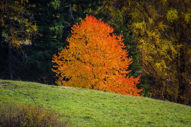 Landscape of Italian Alps in autumn