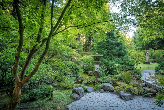 Paesaggio del giardino giapponese