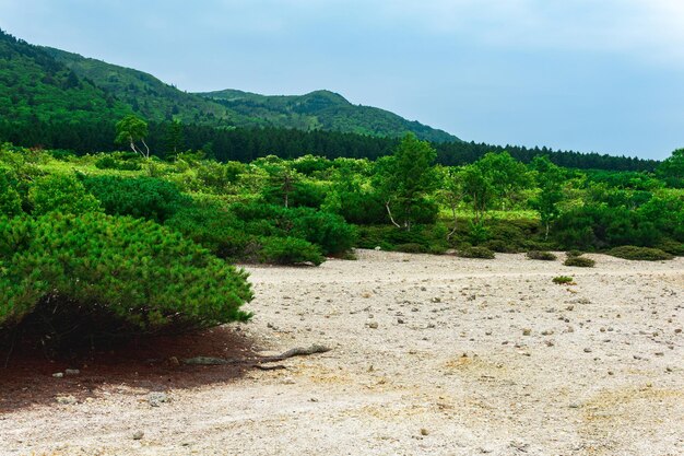 Landscape of Kunashir island tephra beach of a hot lake at the bottom of Golovnin volcano caldera