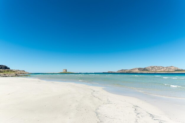 Landscape of La Pelosa beach in a sunny day