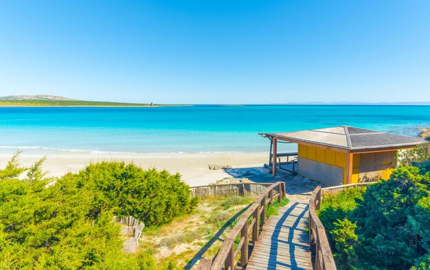 Landscape of La Pelosa beach in a sunny day