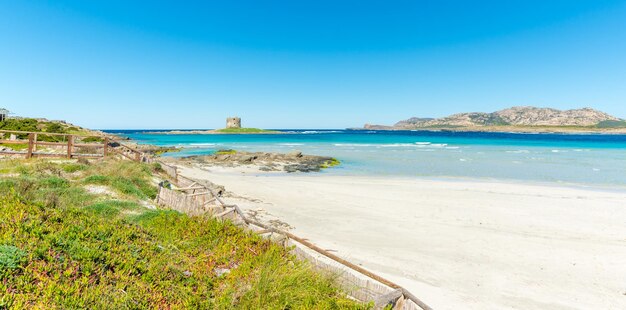 Landscape of La Pelosa beach in a sunny day