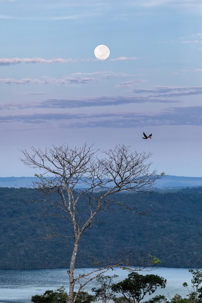 Foto paesaggio di un lago e della luna