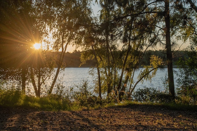 Пейзаж заката на озере в Канелонес Уругвай