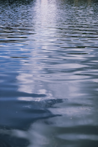 Foto lago di paesaggio. consistenza dell'acqua. il lago è all'alba. la foce del fiume alla confluenza del lago.